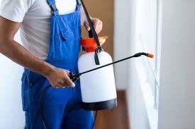 Best Fumigation Services  in Jonestown, PA